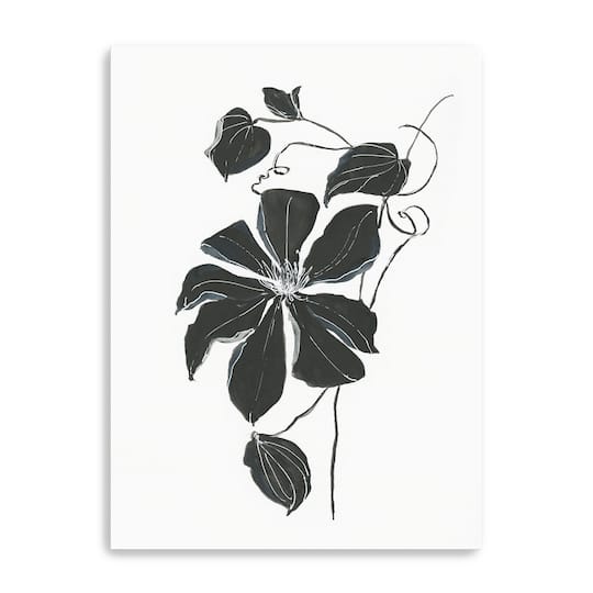 Midnight Climber I Canvas Giclee